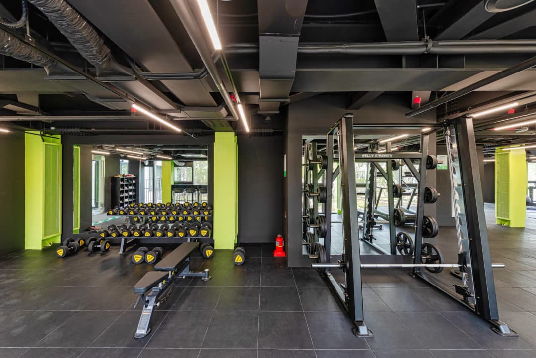 운동으로
체력 다지기 🏋️